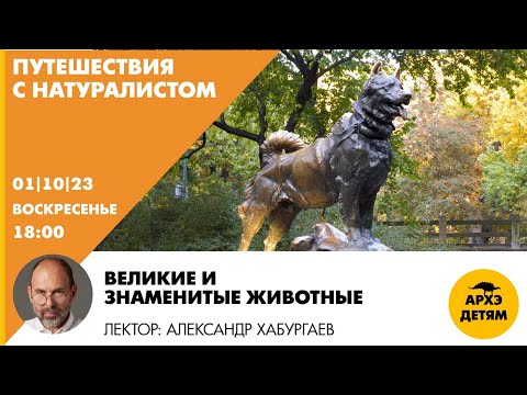 Видео: Детский эфир "Великие и знаменитые животные" // Путешествия с натуралистом // Александр Хабургаев