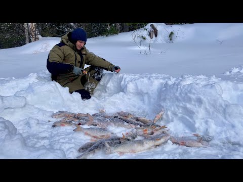 Видео: А вот и рыбка подошла, искали мы ее с утра! Зимняя рыбалка 2024.