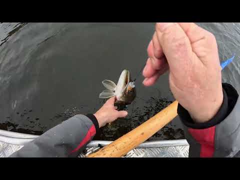 Видео: Батл  Киллер против Динго. Поиски собраний щуки.