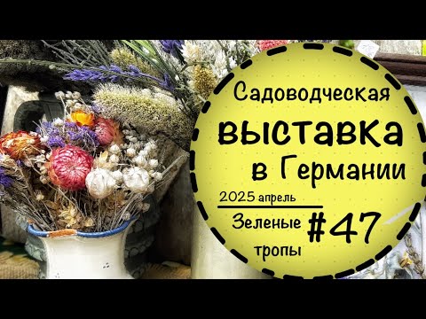 Видео: #47☘️Мои покупки🥰 Выставка «Садовые мечты» в Германии☘️Замок Hundisburg☘️
