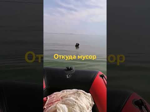 Видео: Откуда мусор на Цимлянском водохранилище