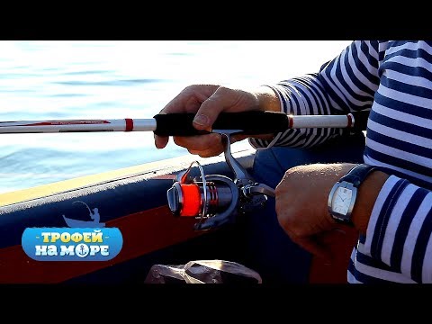 Видео: Трофей на море. 5 серия. Бычок с лодки