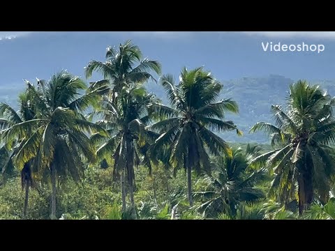 Видео: Филиппины - где и как найти супругу Филиппинку