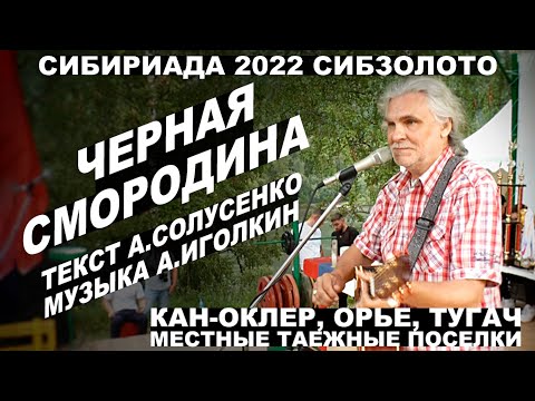 Видео: "Черная смородина" (А.Иголкин - А.Солусенко). Сибириада-2022.