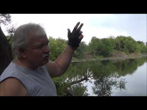 Видео: ПЕРВОАВГУСТОВСКИЙ. Курская область.