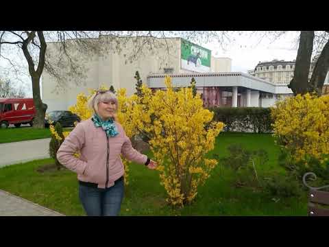 Видео: ТИРАСПОЛЬ .Прогулка по Весенним Паркам Столицы ! Епархиальное Озеро .