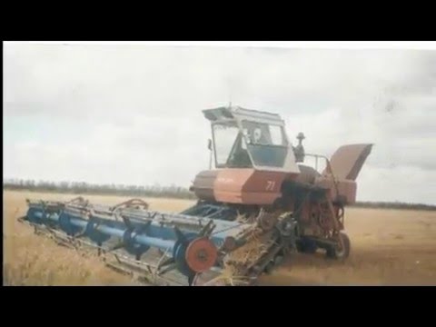 Видео: Серебропольские фермеры /к 25 летию фермерского движения в Табунском районе/