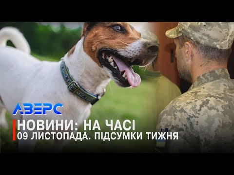Видео: ВЖЕ «ПАКУЮТЬ» ПСІВ? НАПИЛЯЛИ НА КРИМІНАЛ. ЗАМІСТЬ ОДРУЖЕННЯ – ПОХОРОН