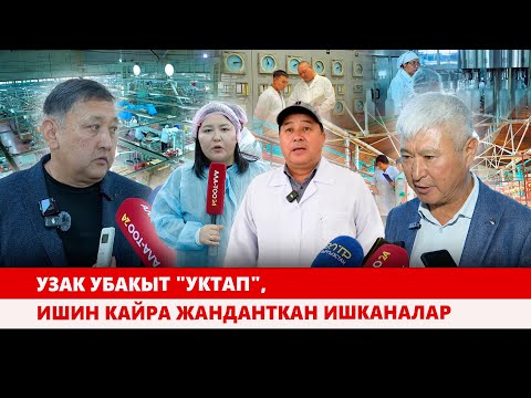 Видео: Узак убакыт "уктап", ишин кайра жанданткан ишканалар