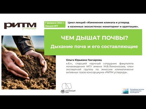 Видео: Чем дышат почвы? Дыхание почв и его составляющие. О.Ю. Гончарова