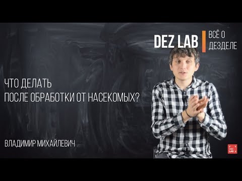 Видео: Что делать после обработки от насекомых?