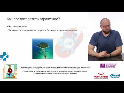 Видео: Скороходов В. А. - Вакцинации и обработки от гельминтов, блох и других паразитов