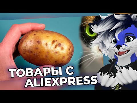 Видео: БЛУБИ Смотрит: ВОТ ЧТО МЫ КУПИЛИ НА ALIEXPRESS