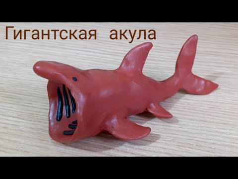 Видео: Лепим гигантскую акулу