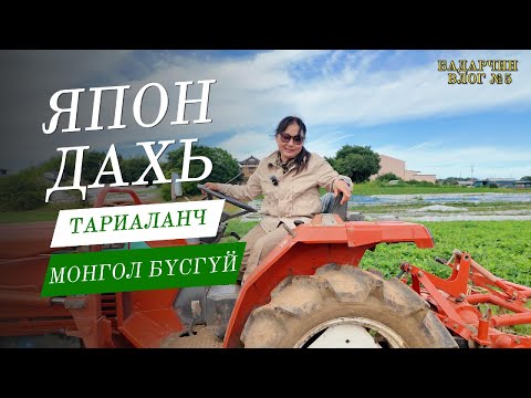 Видео: Япон дахь цорын ганц тариаланч Монгол бүсгүй
