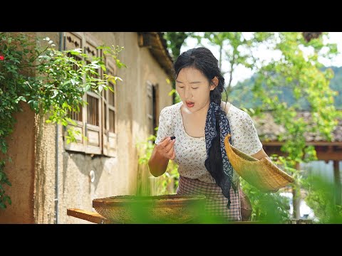 Видео: Ветер раннего лета окутан запахом шелковицы. Приготовление вина из шелковицы, кисло-сладкие.