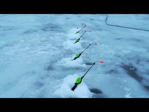 Видео: Корюшка. Зимняя рыбалка с отличным результатом. Южная дамба Финского залива.