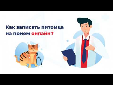 Видео: Запись домашнего животного к ветеринарному врачу доступна онлайн.