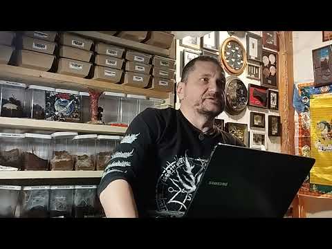 Видео: АЛЕКСЕЙ ГЛУХОВ - ОТВЕТЫ НА ВОПРОСЫ (08.02.2024)