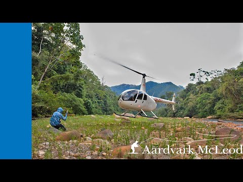 Видео: Программа по ловле рыбы нахлыстом с вертолета в Цимане, Боливия
