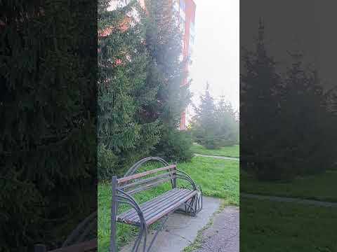 Видео: 23 октября 2025 г.