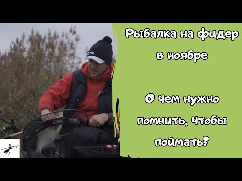 Видео: Рыбалка на фидер в ноябре. О чем нужно помнить, чтобы поймать? Для тех, кто не закрыл сезон #feeder