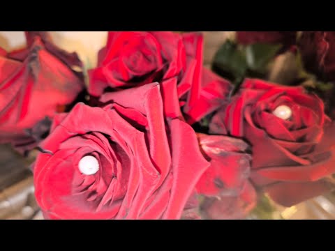 Видео: КАК ВИДЯТ ВЫСШИЕ СИЛЫ ВАШУ ПАРУ 🌹🌹💗💕💕💕🌈🌄💫❤️❤️❤️