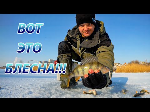 Видео: Зимняя блесна КТ36. Как окунь бросался на блесну. Ловля окуня со льда.