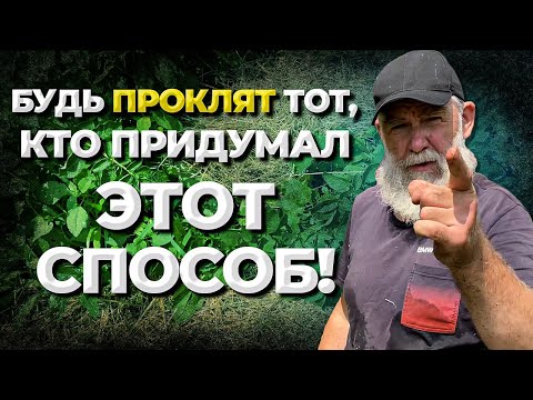 Видео: Соломенное земледелье или картофель в развал?//Живая Баня Иван Бояринцев