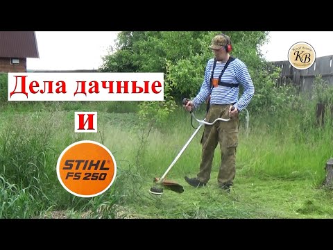 Видео: Shtil FS250 в работе // дела дачные!