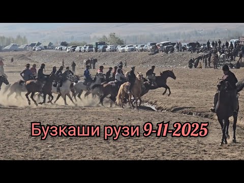 Видео: Бузкаши рузи 9-11-2025 Ноҳияи Ховалинг