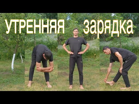 Видео: Утренняя зарядка на каждый день morning exercises