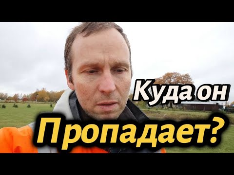 Видео: ✅✅✅Куда пропадает наша сабака?#чеснок #влог #конь #котики