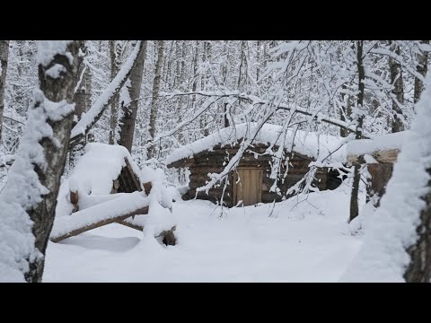 Видео: прятаться в уютной землянке во время снежной бури, ночевать в бушкрафтовом укрытии