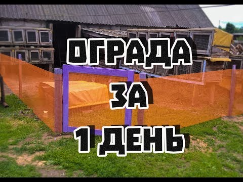 Видео: Ограда для кур за 1 день | Дневник Кроликовода №6| Арболитич