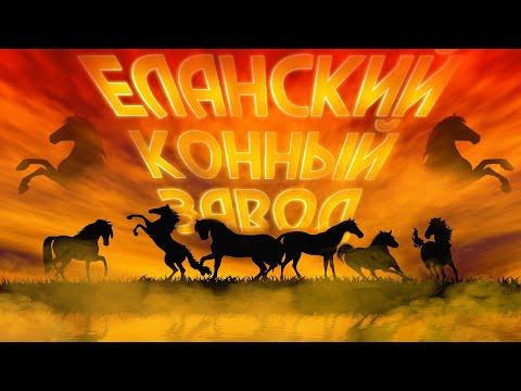 Видео: Еланский Конный Завод - ВСЁ О КОНЕВОДСТВЕ, ЛОШАДЯХ И ИХ СОДЕРЖАНИИ! [ ЧАСТЬ 1 ]