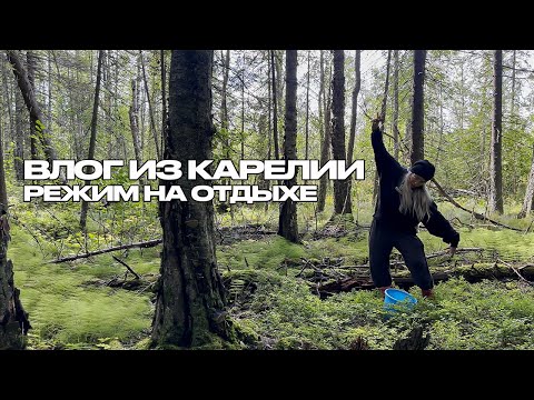 Видео: Влог из Карелии