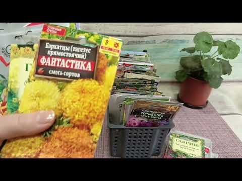 Видео: Сад-огород 2025: шуршу пакетиками цветов. Ч.1.