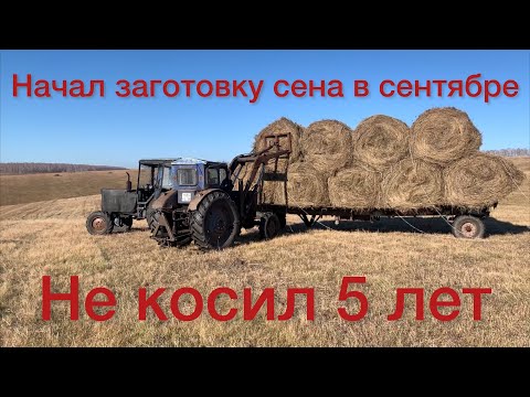 Видео: Сенокос 2022 | Такого сюжета в полях ещё не было!