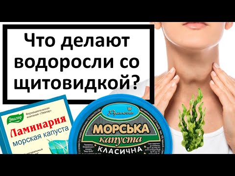 Видео: Почему Водоросли Могут Быть ОПАСНЫ для Здоровья?