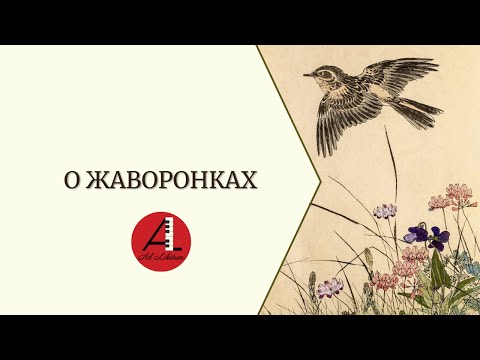 Видео: О жаворонках