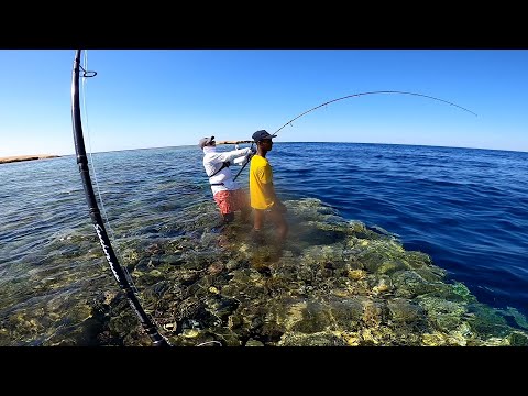 Видео: После поимки ЭТОЙ РЫБЫ можно смело завершать карьеру)!