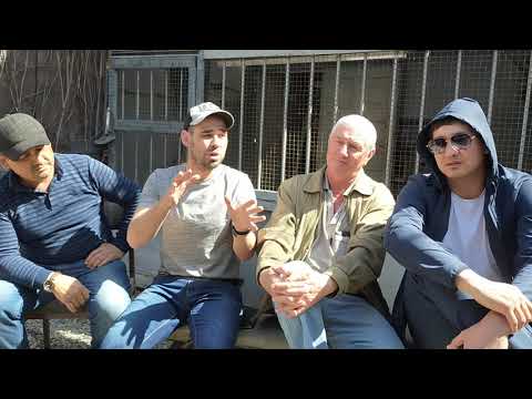 Видео: ответ от голубеводов Азии гагику акопяну