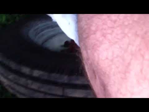 Видео: 27 июля 2024 г.