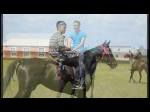 Видео: "Скачки" с. Варна, Челябинская обл. 23 07 2017г