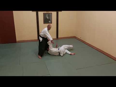 Видео: Айкидо различные техники