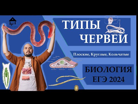 Видео: Типы ЧЕРВЕЙ для ЕГЭ 2024 |ЕГЭ БИОЛОГИЯ|Freedom|