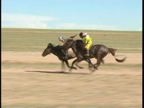 Видео: ЭРИЙН ХИЙМОРЬ нэвтрүүлэг