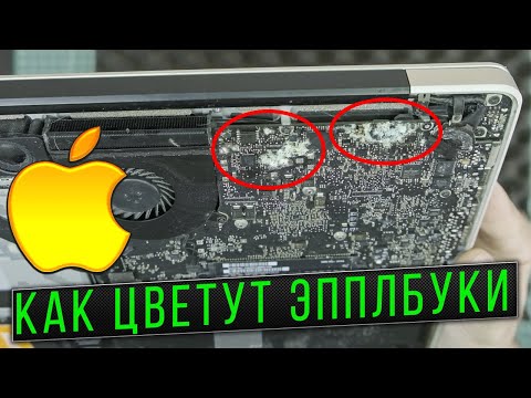Видео: Apple Macbook который немного подгнил