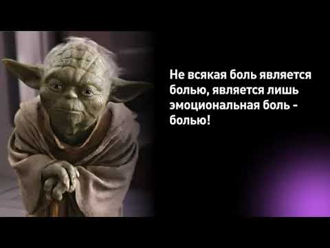 Видео: Эмоциональный стимул - интенсив эволюция таргетолога